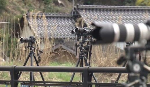 ”迷惑”撮り鉄か…新型やくもデビュー日にJR伯備線立ち入りの通報　地元「駐車場」で共存探る（鳥取）
