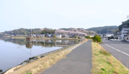 ［旧桜小学校（さくら工芸品工房）］今が見頃！桜のアーチと東郷湖を一望できるお花見スポット｜湯梨浜町