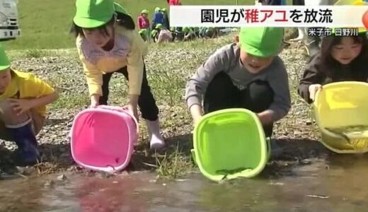 「おおきくな～れ」稚アユ放流に園児が歓声 ６月１日の漁解禁前に約２万匹が日野川に（米子市）
