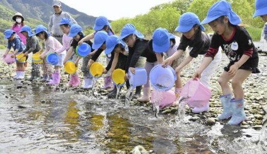 大洲・肱川で稚アユ放流　漁協関係者と園児「大きくなってね」