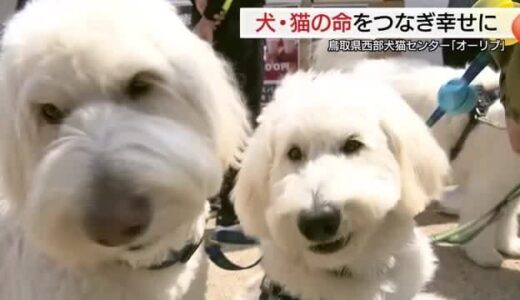 犬や猫の命をつなぐ…鳥取西部に保護・愛護の拠点オープン　ペットとの幸せな向き合い学ぶ（米子市）