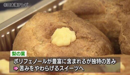活用されることが少ない梨の葉をスイーツに　大学生が開発したスイーツの試食会　鳥取県