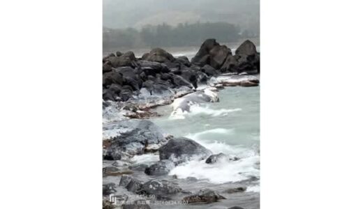 【速報】鳥取県湯梨浜町の海岸にクジラ漂着　体長１０～１５メートル