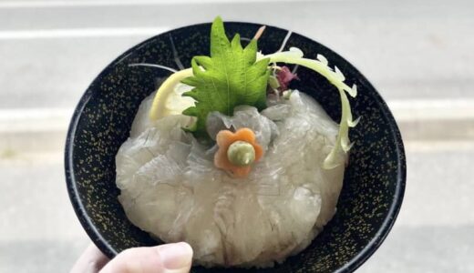 漁港で発見！鮮度抜群の養殖ヒラメが味わえる「海の駅」プリっと弾力感じるひらめ丼｜鳥取県湯梨浜町