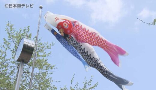 「きれいだった」　こども園でこいのぼりの掲揚式　鳥取県倉吉市