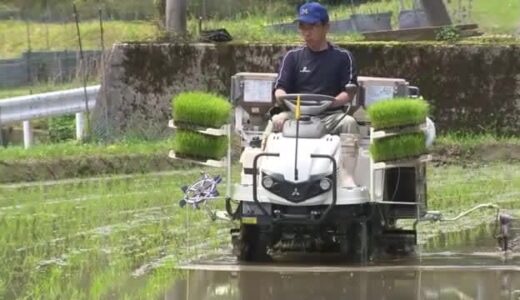 中国山地から流れ出る清らかな水でつくった早場米の産地・西粟倉村　県内でいち早く田植え始まる【岡山】