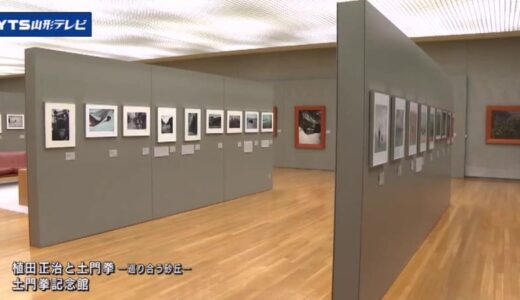 写真家土門拳と植田正治の企画展が開催中