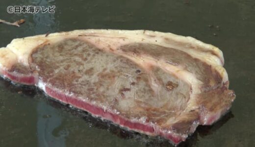 「肉ニク、ニコニコ」平井知事が鳥取和牛や星空舞をPR　東京お台場で開催「肉フェス2024」