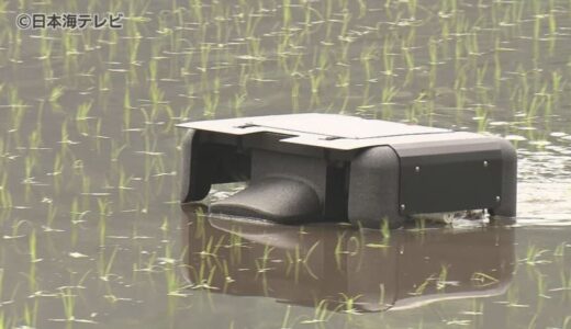 アイガモロボットで有機農業　アイガモ農法をヒントに開発されたロボットが登場　農業の担い手不足解消に　　鳥取県日南町