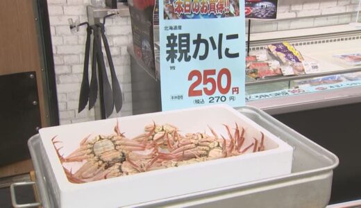 禁漁期間のはずの「メスのズワイガニ」？がスーパーで激安販売　調べてみると…北海道で大量発生「オオズワイガニ」のメスだった　「処理しきれないくらい捕れている」