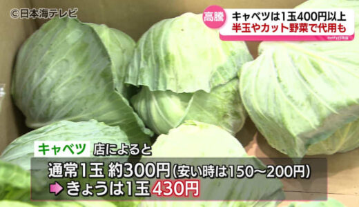 葉物野菜で価格の高騰　キャベツの産地で生育不良　家計に直撃する野菜の高騰を受け、節約のために家庭菜園をする人も