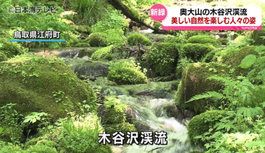 「さわやかです、癒されます」県の内外から訪れた観光客がこの時期ならではの美しい自然を満喫　鳥取県江府町