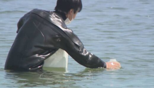 海水浴シーズン前に　鳥取県内８か所で水質調査