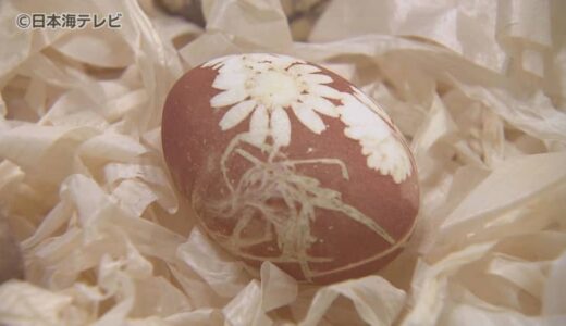 自然の持つ良さを和紙に写して表現　草木染めのひとつ「ミディアムプリント」の作品展　鳥取県鳥取市