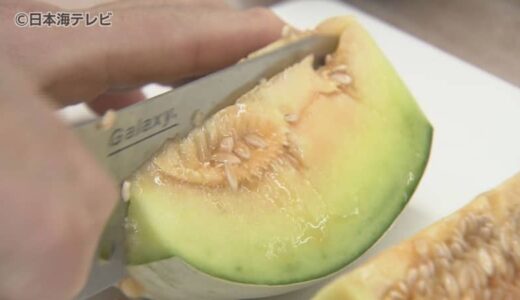 「甘さがすごい、最高です」　粉ミルクとブドウ糖を散布する「ミルク栽培」　特産品”プリンスメロン”の査定会　鳥取県倉吉市