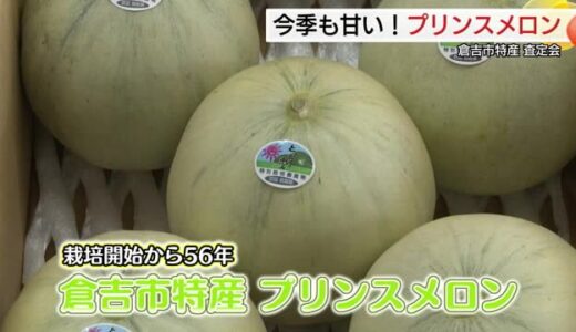 「香りを楽しんだ後、熟したら食べて」初夏の味覚届け56年！倉吉特産プリンスメロン初出荷（鳥取）