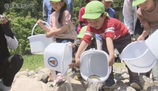 「おおきくなってねー」　園児たちがアユの稚魚を放流　2日間で11万6000匹を千代川へ　鳥取県智頭町