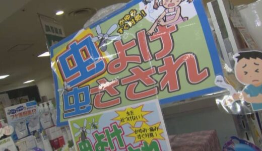 そろそろ「蚊」の季節　去年買った「虫よけ」大丈夫？薬剤師に聞いてみると「底に使用期限が書いてあるんですけど…」