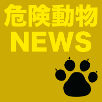 （鳥取）境港市森岡町でイノシシ出没　５月２０日
