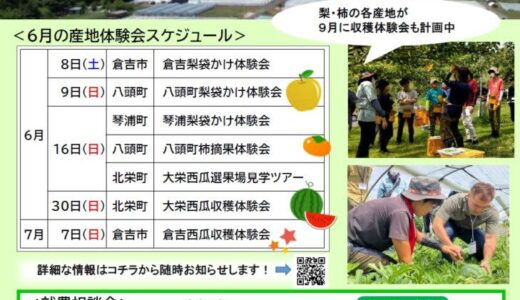 【参加者募集中（６・７月開催分）】鳥取県でLet’ｓ農業！来て！見て！話して！体験して！産地体験会・就農相談会に出かけよう！