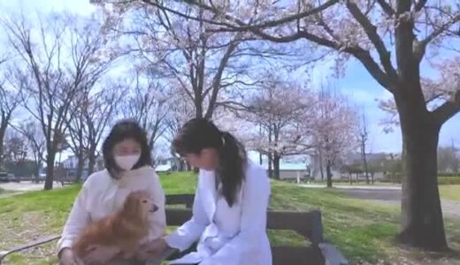 ペットと飼い主に寄り添う治療を 漢方薬活用した「予防医療」故郷で動物病院開業し奮闘（鳥取・倉吉市）