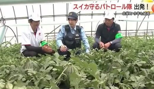 窃盗被害ゼロも…気を引き締めて！スイカ盗難防止へパトロール隊が始動（鳥取・北栄町）