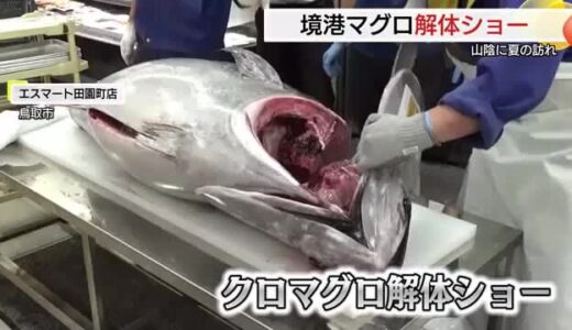 境港で初水揚げ「クロマグロ」スーパーで解体ショー　目で舌で日本海の夏の味覚を堪能（鳥取市）