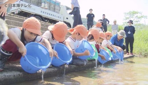 まるで“アユの滝”　初夏の日差しに包まれながら園児たちが1万匹の稚魚を放流　鳥取県日野町