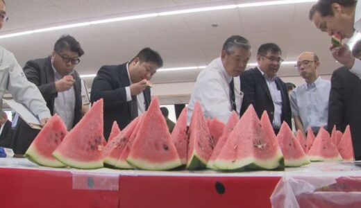 「シャリ感楽しんで」　出来栄え上々　鳥取すいか査定会