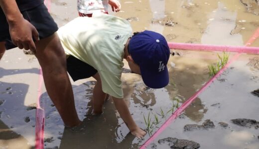 六本木ヒルズにある地上約45m、都心の屋上庭園で「田植え」イベントを開催！ファミリー参加で子供もいい体験に
