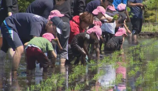 7年ぶりの再開　30年以上続く園児の「田植え体験」背景には農家減少も…「米の大切さを感じてもらえたら」