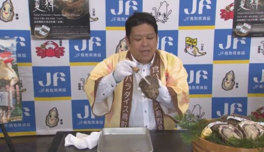 巨大な天然イワガキ「夏輝」殻の長さ13センチ以上　漁師が約5メートル素潜りで獲る　上手な殻の開け方は？