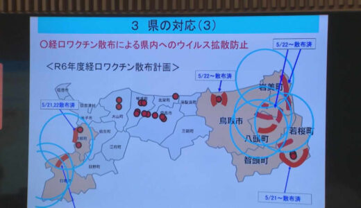 鳥取県日南町で野生イノシシの豚熱感染確認　県が対策に乗り出す