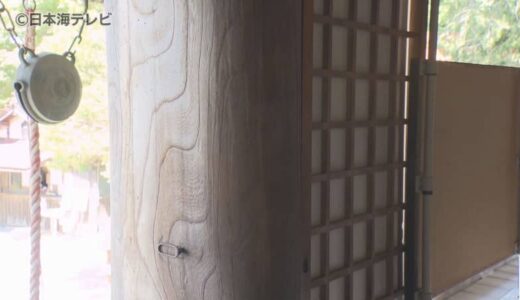 「犯人捜し的なことはもうせんで穏やかな気持ちで」　国の登録有形文化財に指定されている摩尼寺本堂の柱に落書き…　監視カメラの設置も検討　鳥取県鳥取市
