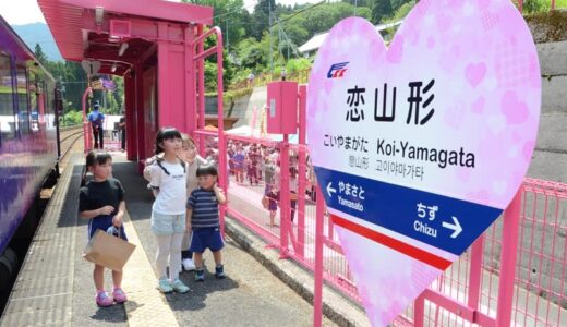 智頭急行が全14駅のネーミングライツ販売　開業30周年記念事業、山陰両県で初