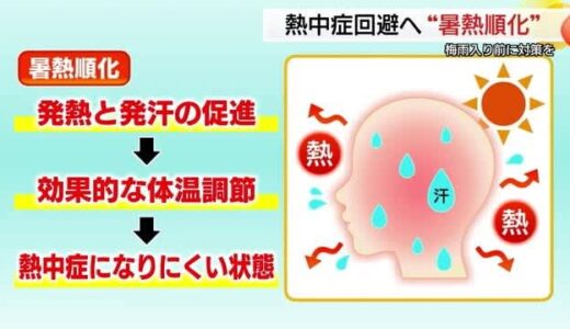 “災害級”猛暑の夏へ熱中症対策を キーワードは「暑熱順化」梅雨入り前の今だから準備を（鳥取）