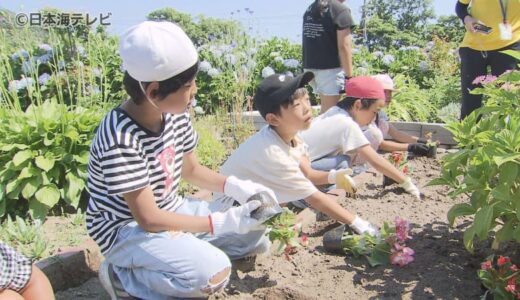 「みんなが笑顔で和んで帰られるのが一番の喜び」小学生があじさい公園で学習　地域の人と一緒に苗植えも　鳥取県鳥取市