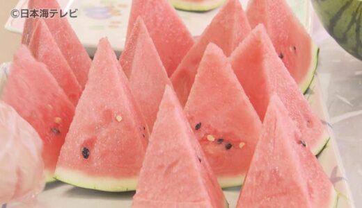 「甘くておいしい」旬を迎えたスイカのイベント各地で盛況　開始から約20分で終了の試食イベントも　鳥取県