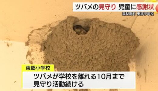 絶滅危惧種の“ツバメ”を見守り活動 観察通じて学ぶ湯梨浜町の小学校に日本野鳥の会から感謝状（鳥取）