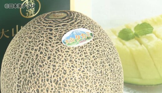 「甘いメロンで暑い夏を乗り越えて」　火山灰の“黒墨”と呼ばれる土を使った「大山メロン」の目合わせ会　鳥取県大山町
