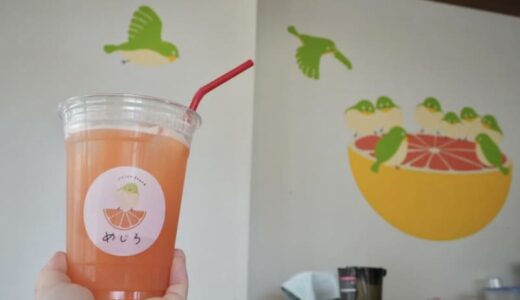 ［ジューススタンドめじろ］鳥取駅近く！果物や野菜を使ったドリンクがめじろおし！これからの時期はすいかジュースも登場｜鳥取市