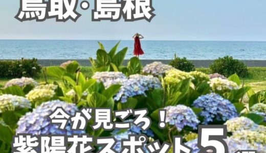 【鳥取・島根】あじさいスポットまとめ５選！海や列車と一緒に見えるスポットも。