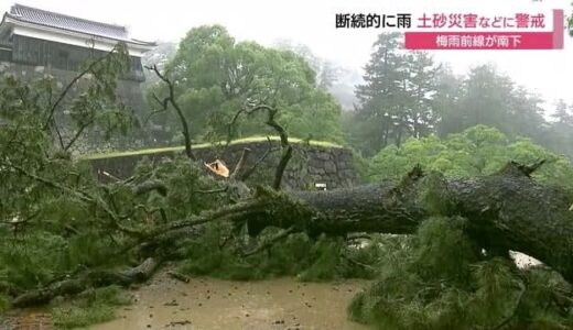 23日夜にかけ島根県で大雨に警戒 松江城山公園の松の大木が倒れる 未明の大雨などが原因か