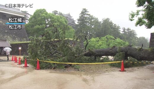 松江城では倒木も　山陰各地で大雨　土砂災害に注意を　鳥取・島根