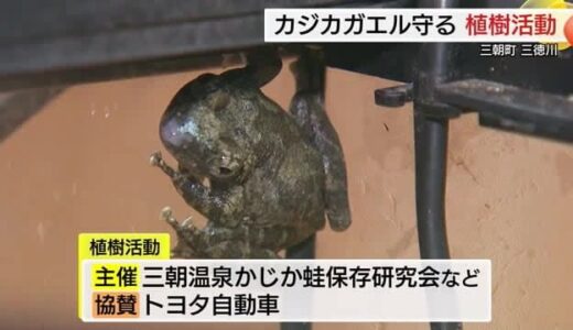 「清流の歌姫」のきれいな声をいつまでも…カジカガエルの生息地保全へ川の流域に植樹活動（鳥取・三朝町）
