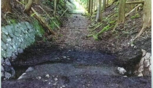 西粟倉村の街道「智頭往来志戸坂峠越」加わり、岡山県内の国史跡４８件に／文化審議会が指定範囲拡大含め県内３件答申【岡山】