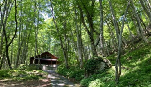 【鳥取県八頭町】まるで軽井沢！ブナ林の中でキャンプやネイチャーサウナが楽しめる八東ふる里の森