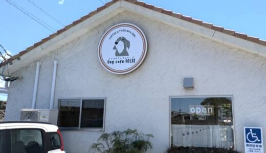【開店】［ドッグカフェ フェリース］店内でわんちゃんと一緒に過ごせるカフェ。愛犬家や犬を飼いたい方にもおすすめです！｜鳥取市