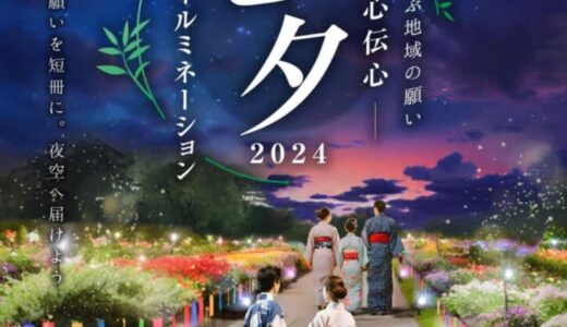 【入場無料】7月7日に湖山池で「七夕イルミネーション2024」が開催されます！