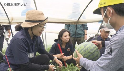 参加者が感じたこととは？　大栄西瓜の就農体験　魅力を発信し農業参入へのきっかけづくりに　人手不足の解決へ　鳥取県北栄町